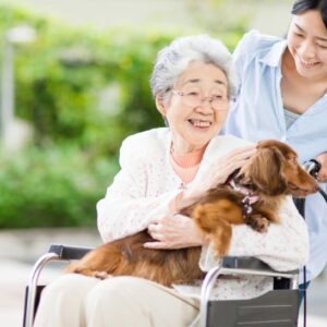 高齢者におすすめのセラピー5選！期待できる効果や必要性も解説