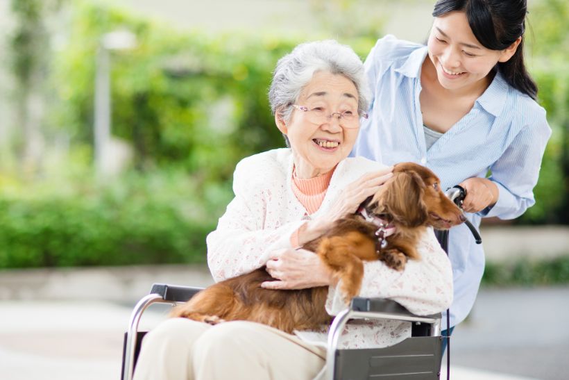 高齢者におすすめのセラピー5選！期待できる効果や必要性も解説